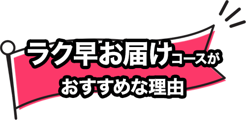 オリジナル紙袋 短納期プラン ラク早お届けコース 国内生産