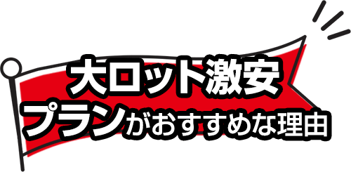 オリジナル紙袋 大ロット激安プラン 国内生産