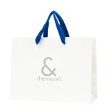 PB877-オリジナル紙袋|美容ケア用品ブランド様