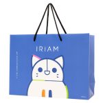 PB913-オリジナル紙袋｜アプリ運営会社様