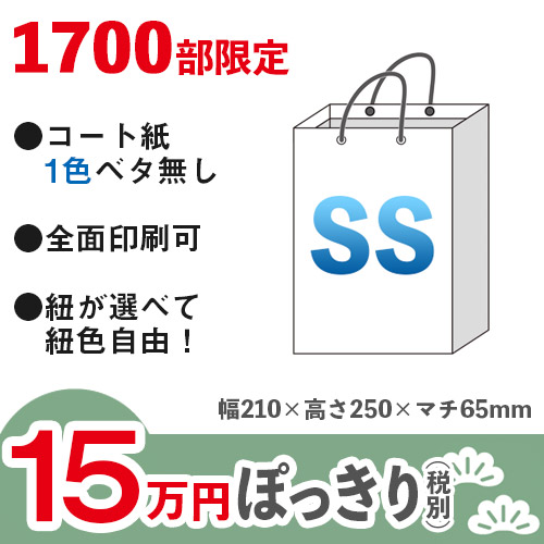 【15万円ぽっきりプラン：松】格安オーダーメイド紙袋　コート紙　1色ベタ無し　SSサイズ