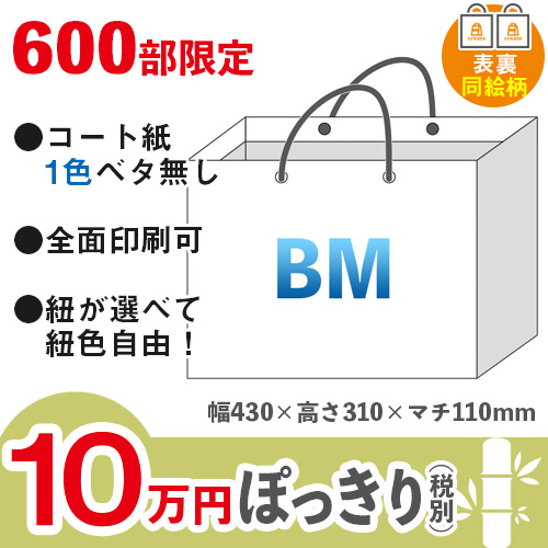 【10万円ぽっきりプラン：竹】格安オーダーメイド紙袋　コート紙　1色ベタ無し　BMサイズ　表裏同絵柄