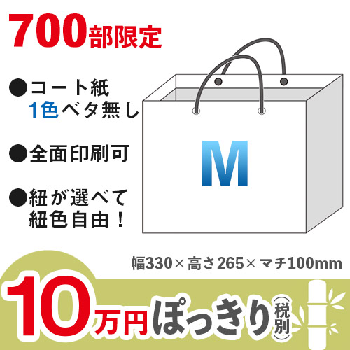 【10万円ぽっきりプラン：竹】格安オーダーメイド紙袋　コート紙　1色ベタ無し　Mサイズ