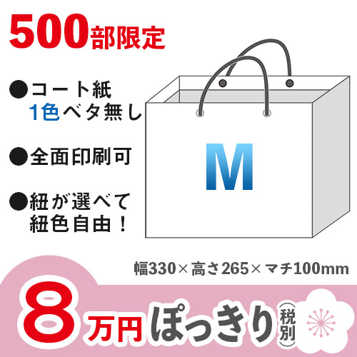 オーダーメイド紙袋 格安ぽっきりプラン|仕様限定！枚数限定！送料無料