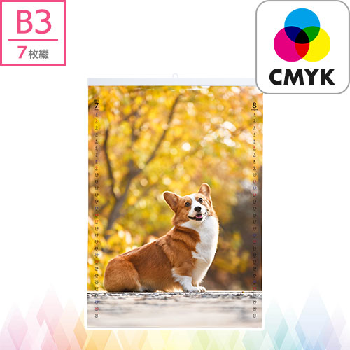 壁掛けカレンダー B3タテ 7枚綴り【CMYK】