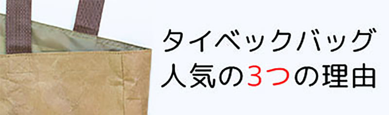 タイベックバッグ人気の3つの理由