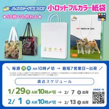 2月中に間に合う！50枚未満で作れるフルカラー印刷紙袋