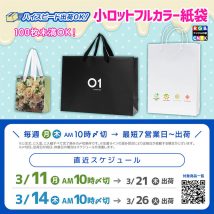 3月末、年度内に届く！小ロット100枚未満でも作れるオリジナル印刷紙袋