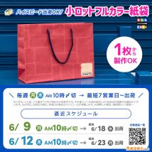 小ロットフルカラー印刷紙袋が記載の〆切で最短７営業日出荷、2025年6月下旬に間に合う