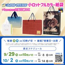 ハロウィンなど、10月下旬のイベントに間に合うオリジナル印刷紙袋製作スケジュール