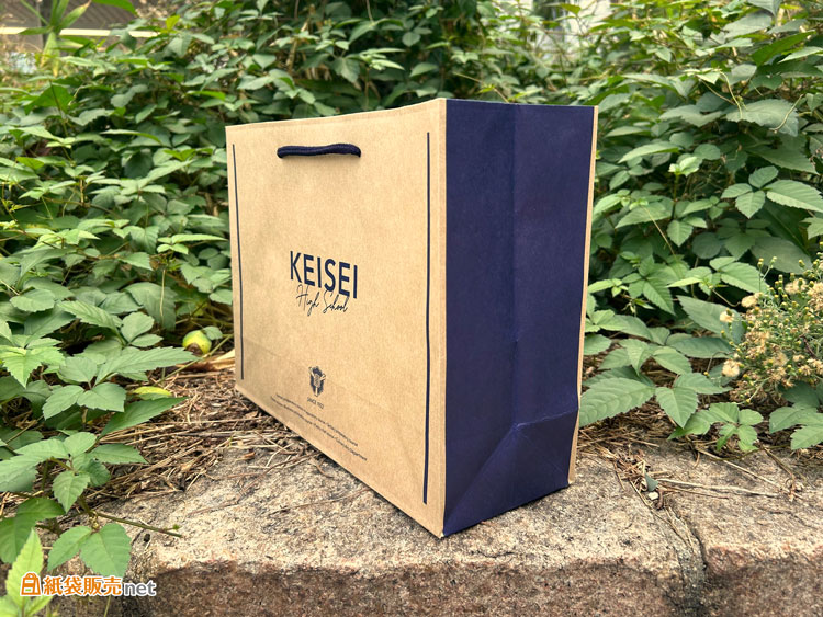  MJサイズでA4資料が横に入るオリジナル紙袋