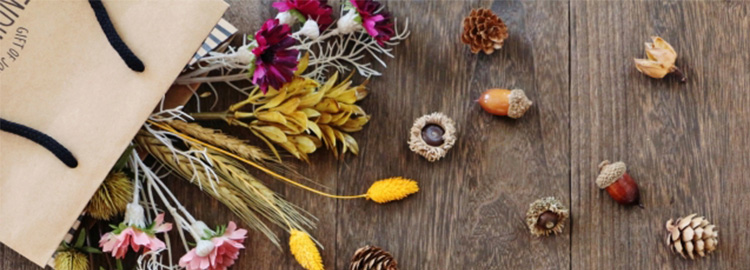 カジュアル紙袋イメージ