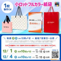 1枚から製作できる小ロット対応フルカラー印刷紙袋 最短納期スケジュール