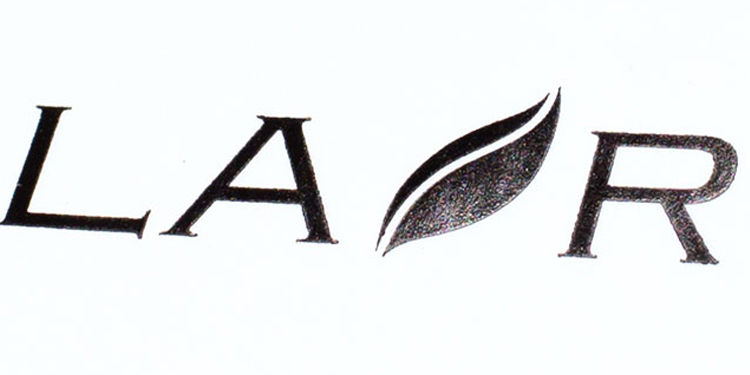 マットPP加工＋黒箔押しの拡大図