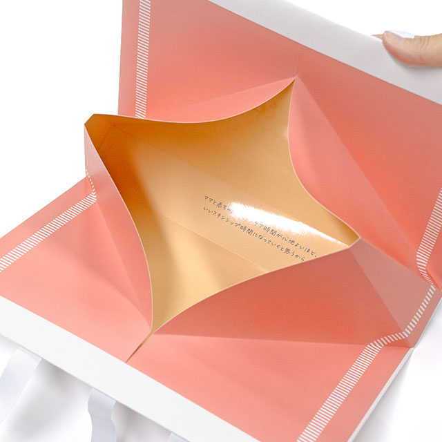 ハコぶくろ 大サイズ(B5対応サイズ)