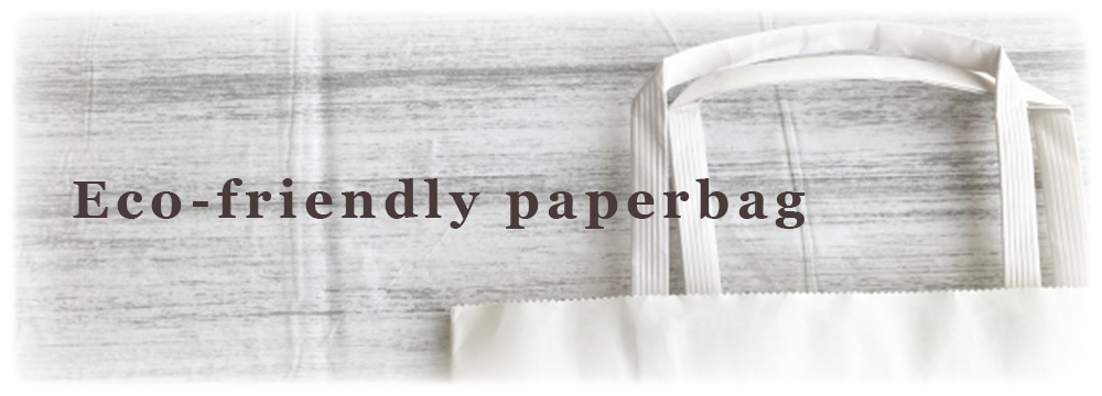 エコ紙袋イメージ