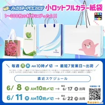 オリジナル印刷紙袋が最短7営業日出荷対応、フルカラー印刷OK