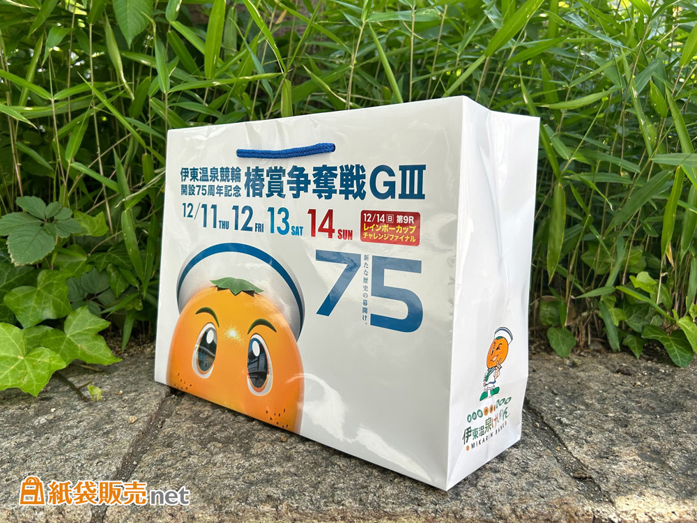 A4サイズの資料やパンフレットが横向きで入るサイズ