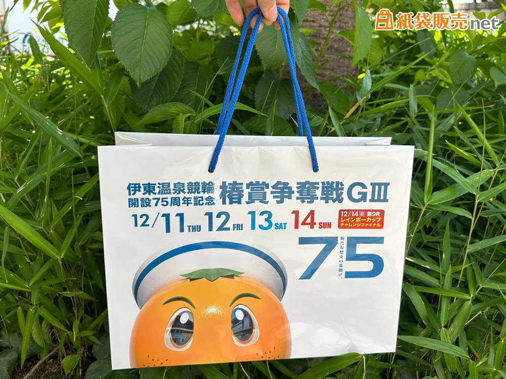 デザインカラーに合わせたブルー系の紐を採用したオリジナル紙袋
