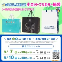 9月中に完成品が届く!小ロットフルカラー紙袋スケジュール案内
