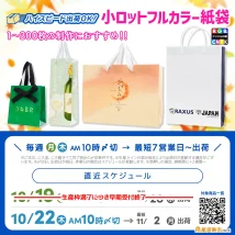小ロットフルカラー紙袋の11月初旬に間に合うスケジュール案内