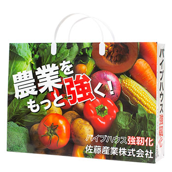 オリジナル紙袋　フルカラーオフセット印刷